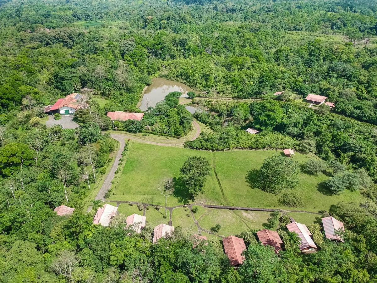La Anita Rain Forest Colonia Dos Ríos Kültér fotó