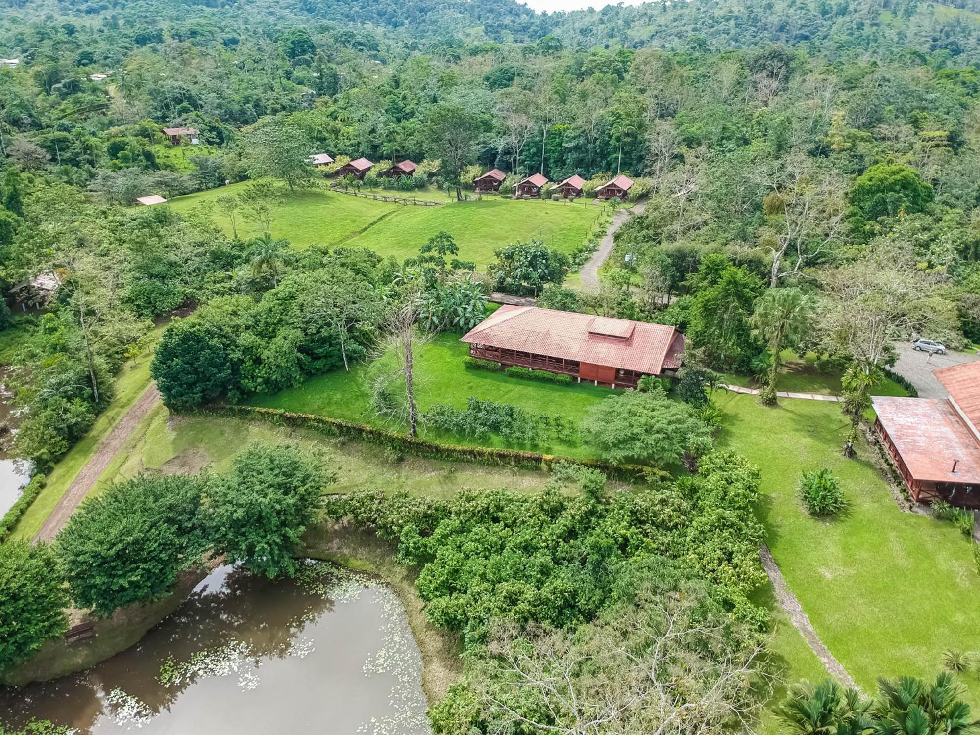La Anita Rain Forest Colonia Dos Ríos Kültér fotó