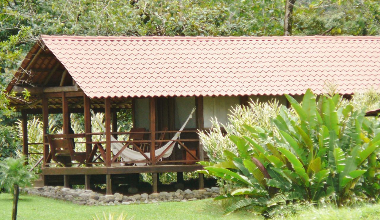 La Anita Rain Forest Colonia Dos Ríos Kültér fotó