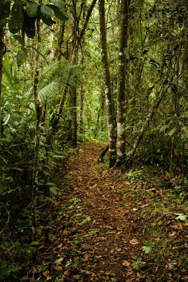 La Anita Rain Forest Colonia Dos Ríos Kültér fotó