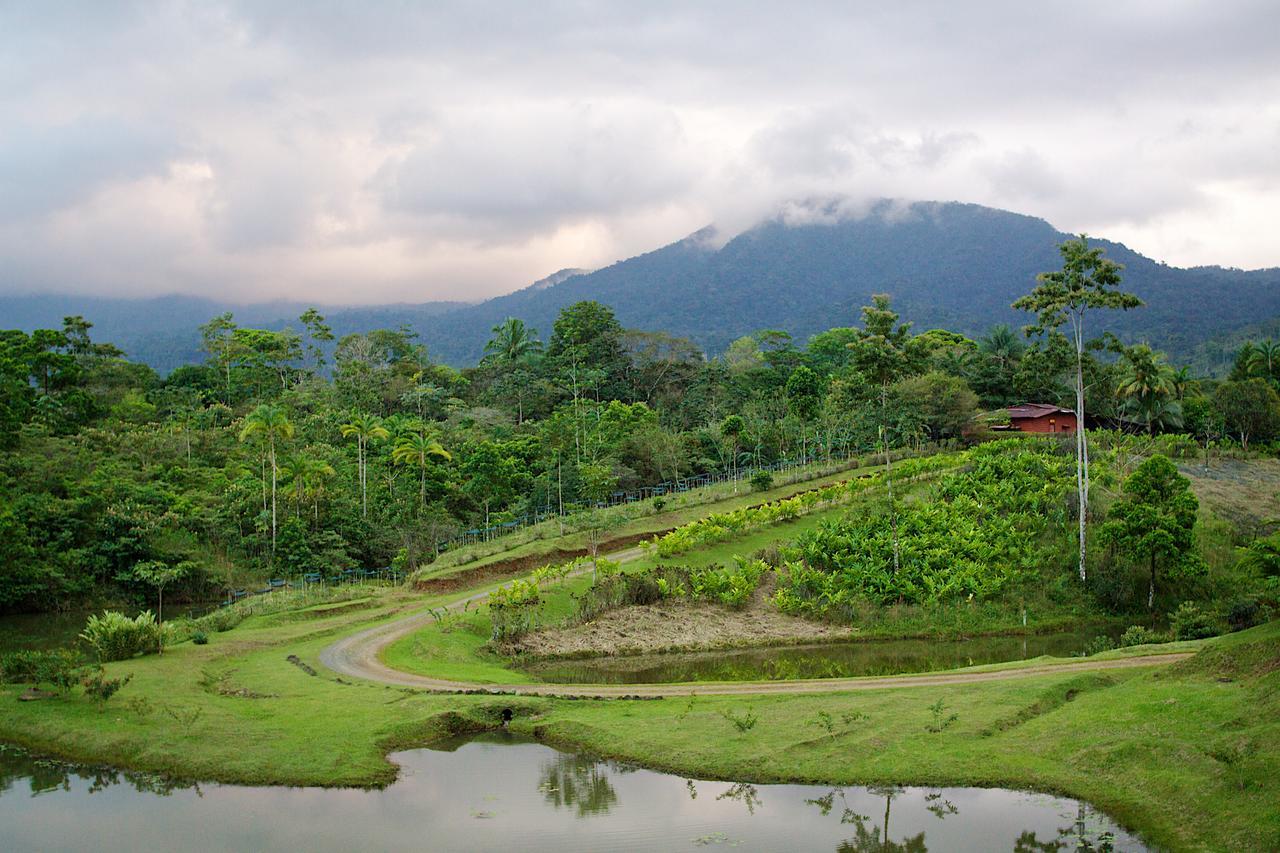 La Anita Rain Forest Colonia Dos Ríos Kültér fotó
