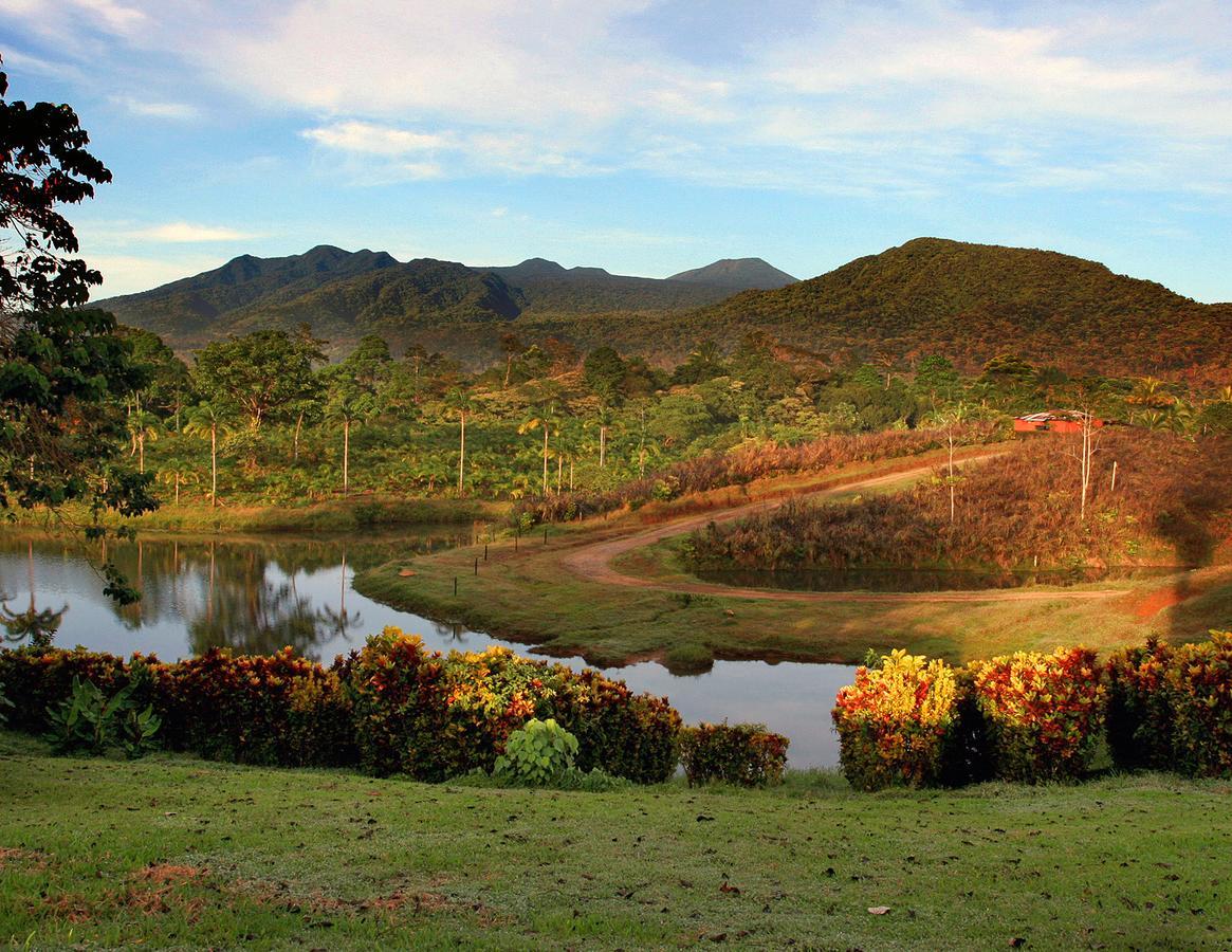 La Anita Rain Forest Colonia Dos Ríos Kültér fotó