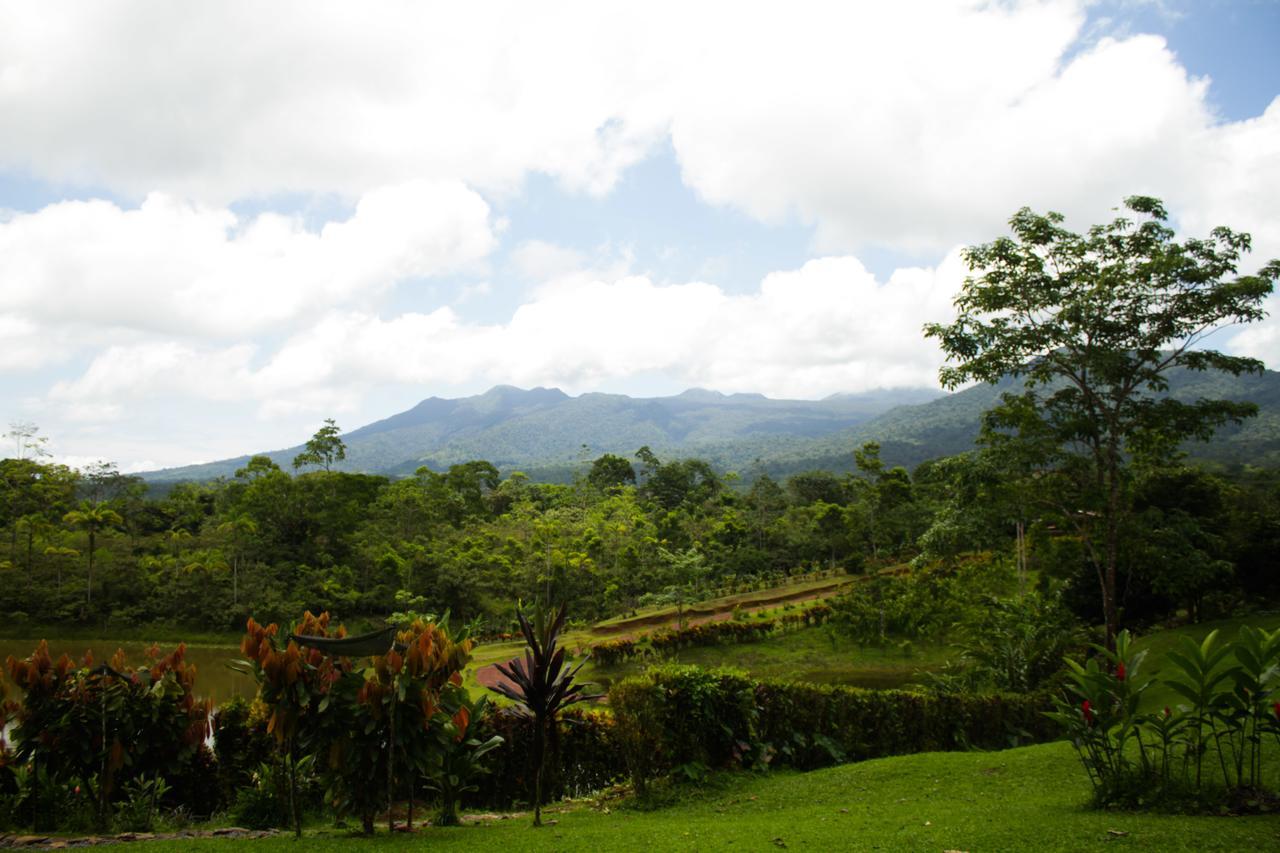 La Anita Rain Forest Colonia Dos Ríos Kültér fotó