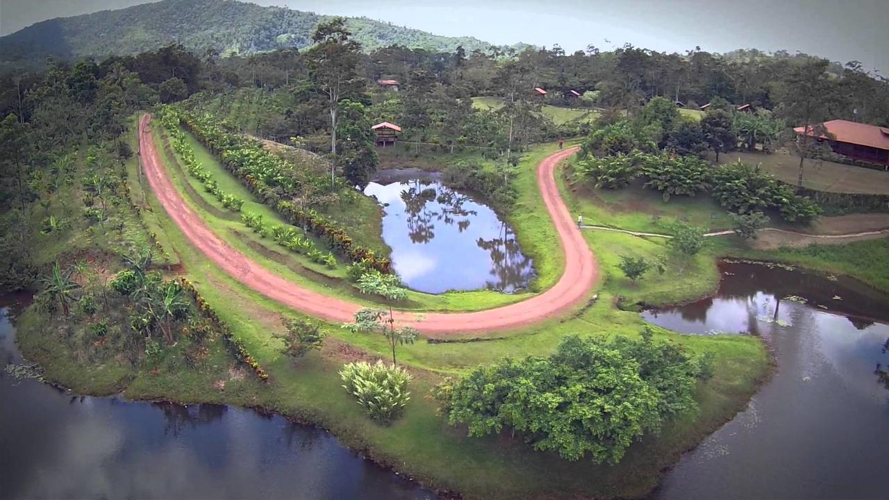 La Anita Rain Forest Colonia Dos Ríos Kültér fotó