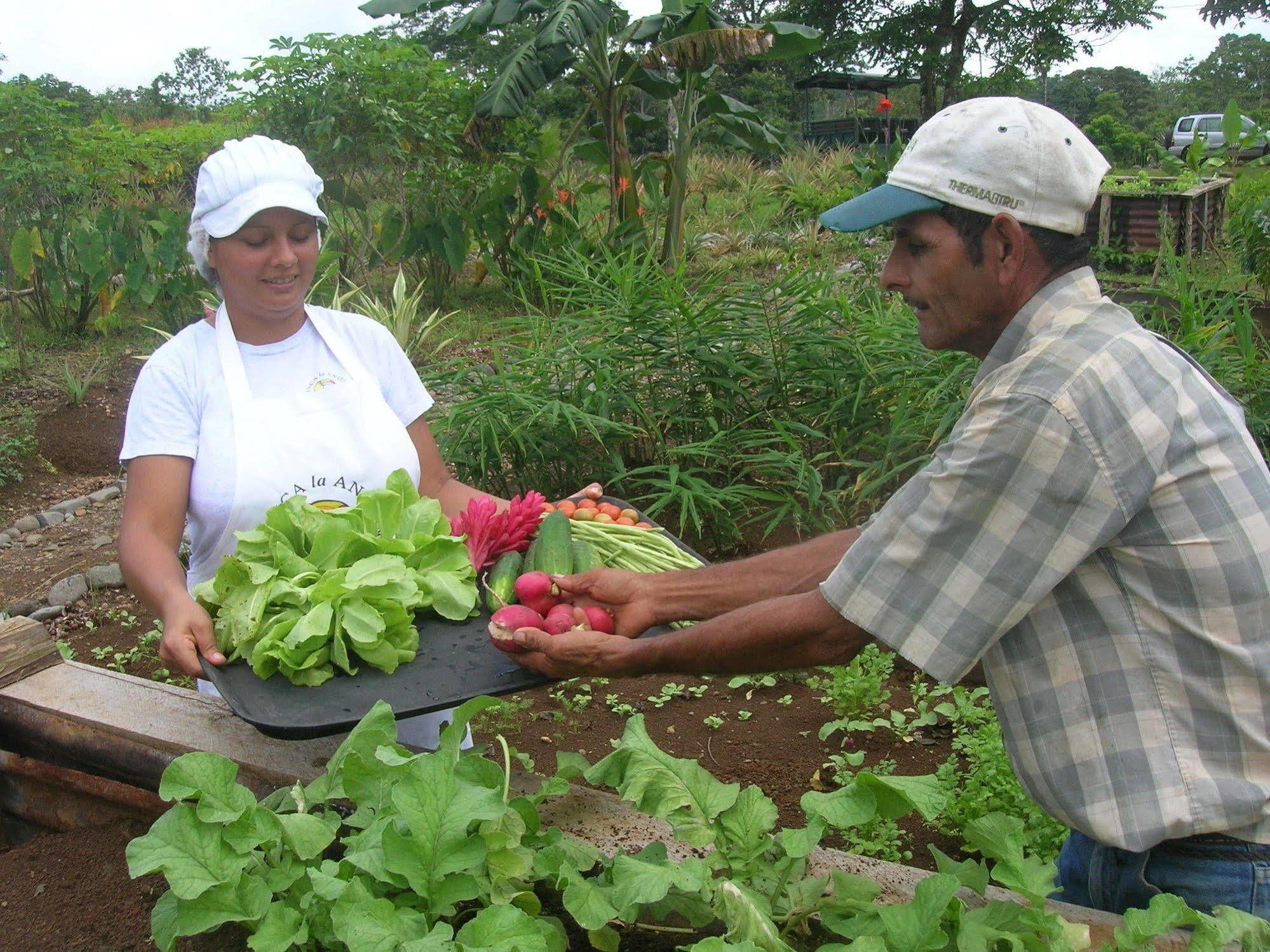 La Anita Rain Forest Colonia Dos Ríos Kültér fotó