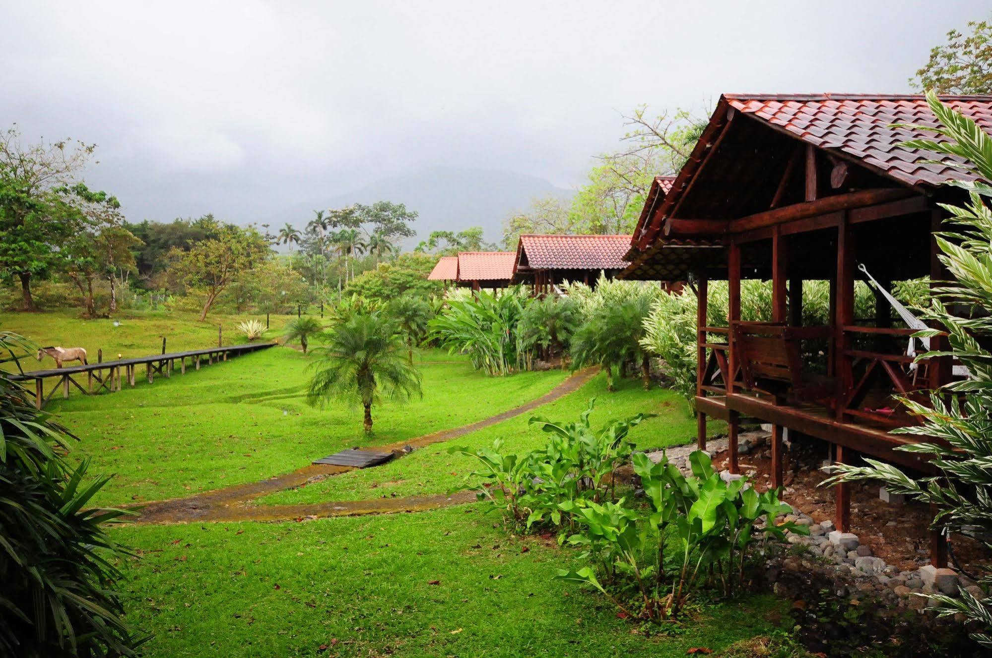 La Anita Rain Forest Colonia Dos Ríos Kültér fotó