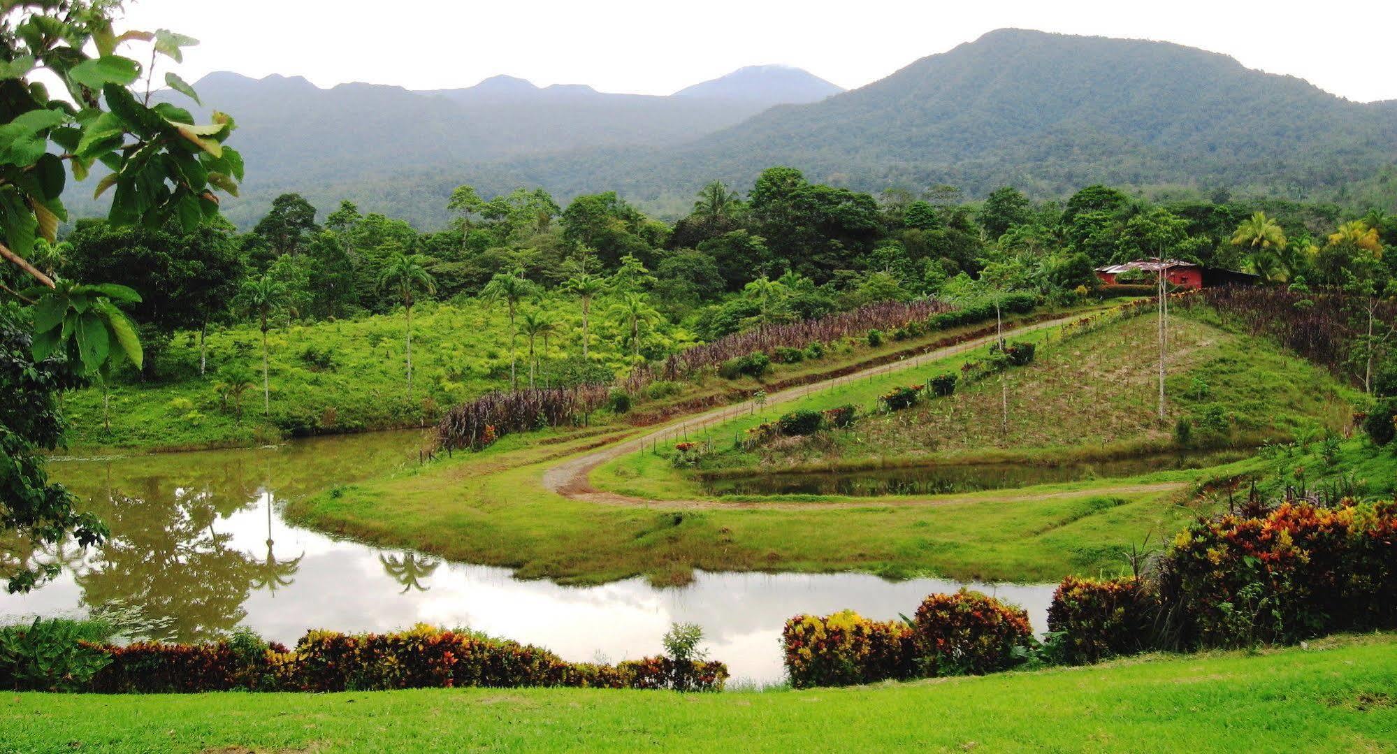 La Anita Rain Forest Colonia Dos Ríos Kültér fotó