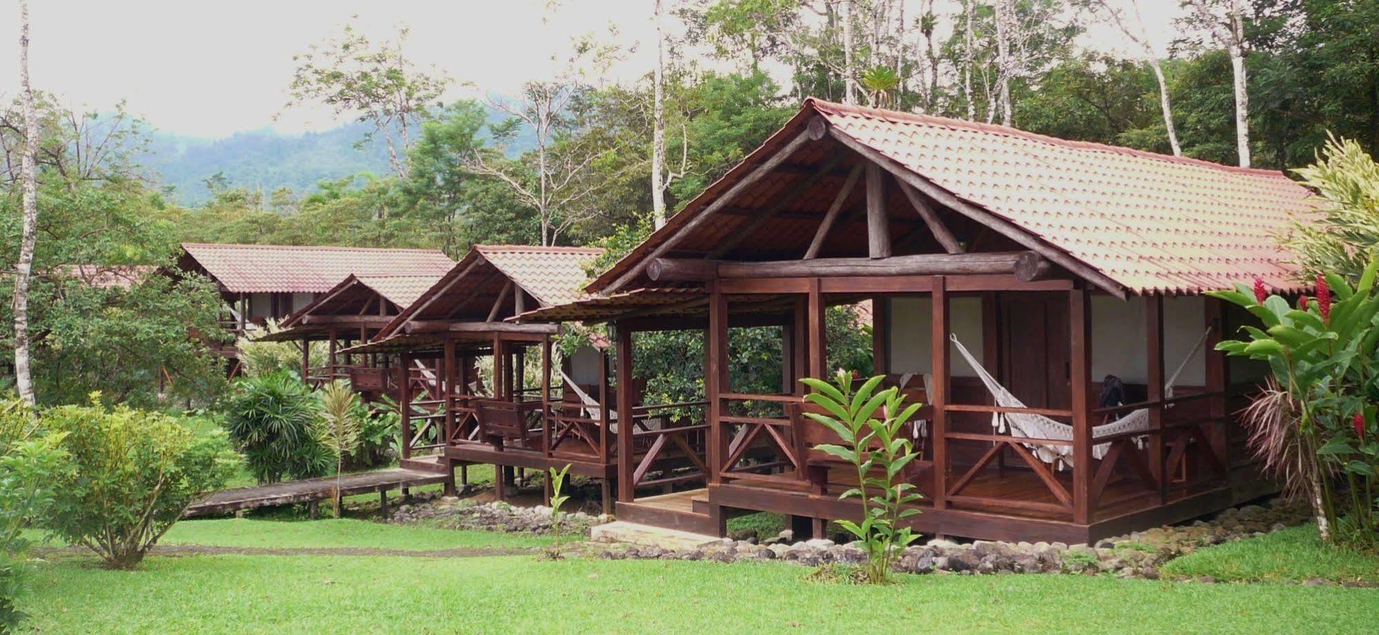 La Anita Rain Forest Colonia Dos Ríos Kültér fotó